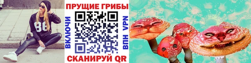гидра tor Североуральск дарк нет состав Псилоцибиновые грибы Psilocybine cubensis
